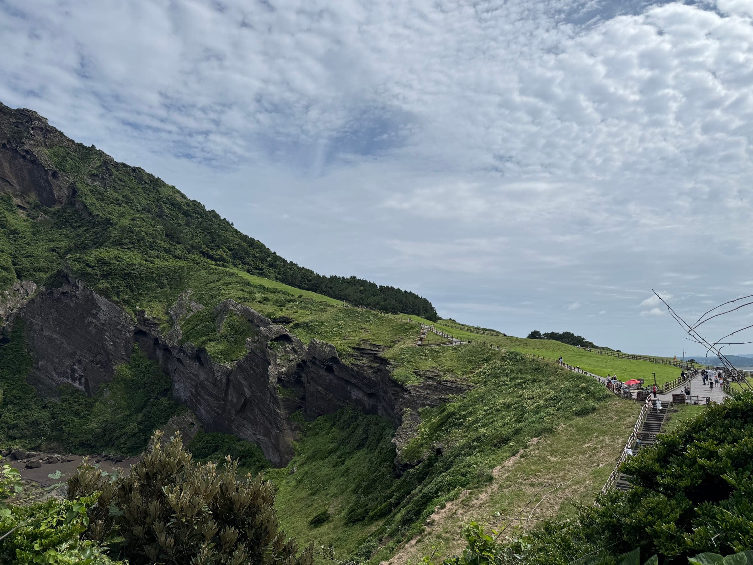 Coastal cliff trail overlooking the sea