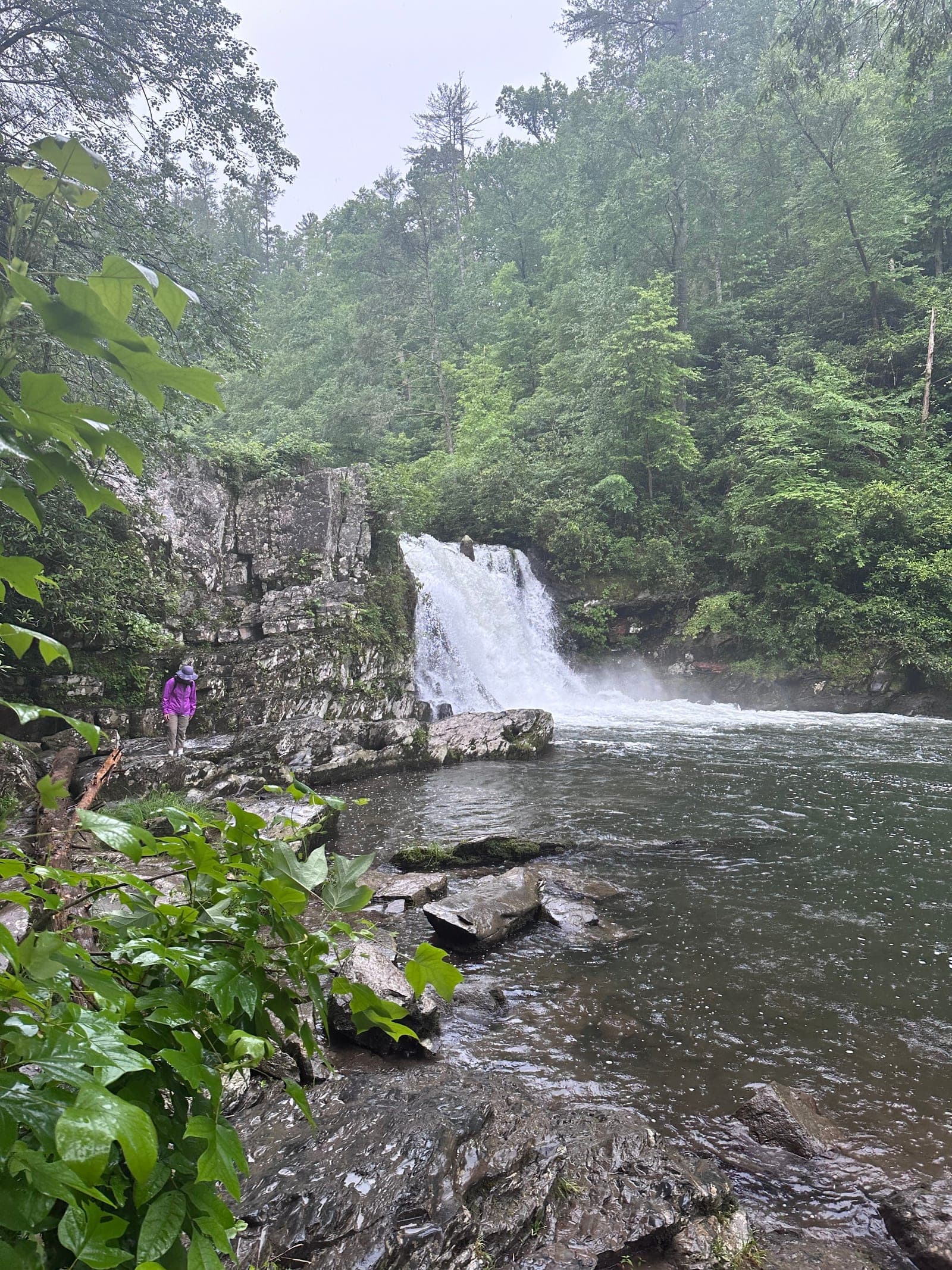 Hiker beside a forest waterfall